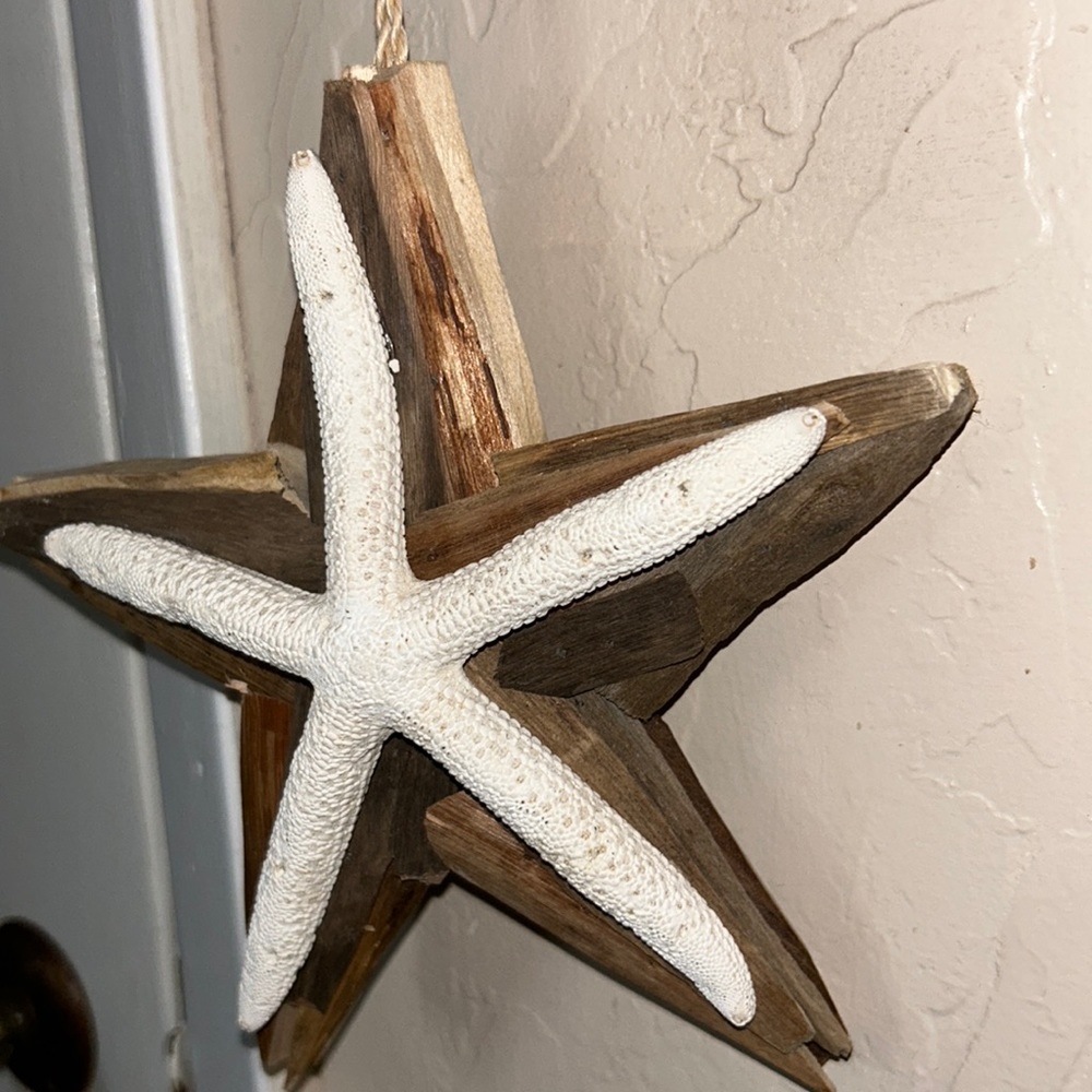 Sea star ornament!